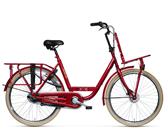 Batavus Personal Bike Delivery