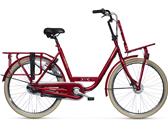 Batavus Personal Bike Delivery 3