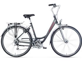 Sportieve fietsen Batavus Cayuca