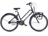 Batavus BUB 24
