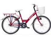 Batavus Koala 22