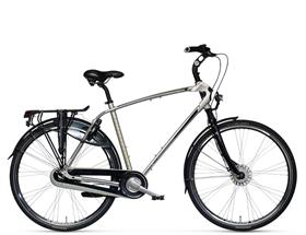 StadsfietsenBatavus Vivente 8P