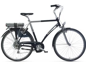 Elektrische fietsenBatavus Jakima Easy®
